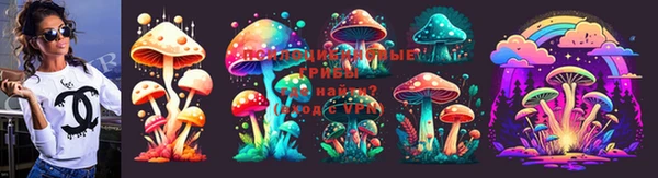 прущие крисы Инсар