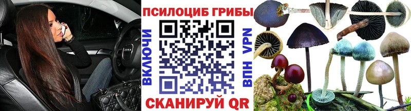 Псилоцибиновые грибы MAGIC MUSHROOMS  Купить закладки  Горбатов 